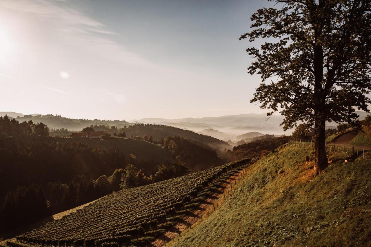 Villa Weingut Kollerhof Am Eichberg Leutschach Esterno foto