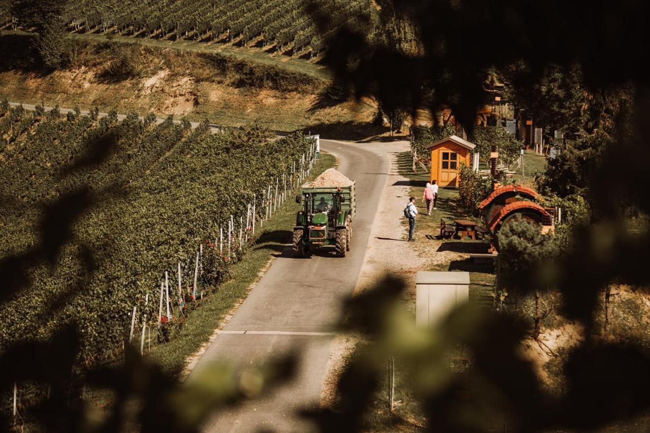 Villa Weingut Kollerhof Am Eichberg Leutschach Esterno foto